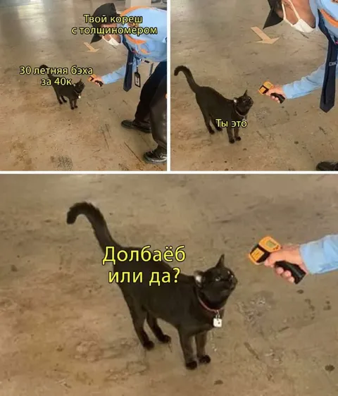Толщиномер проверяет бэху