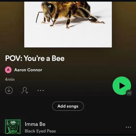 POV: You’re a Bee