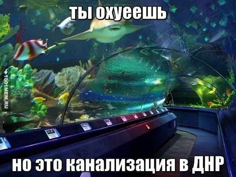Аквариумная канализация в ДНР