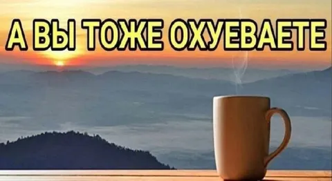 А вы тоже охуеваете