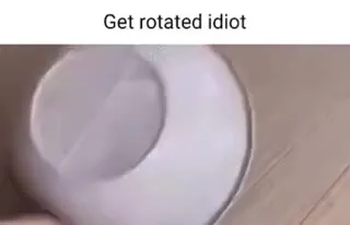 Get Rotated Idiot Cat