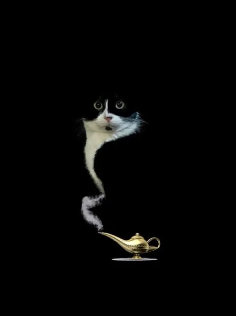 Кот-джинн из лампы