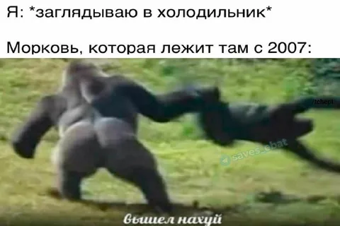 Морковь из холодильника с 2007