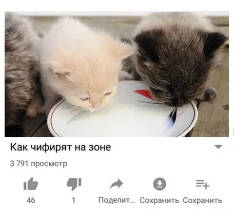 Как чифирят на зоне