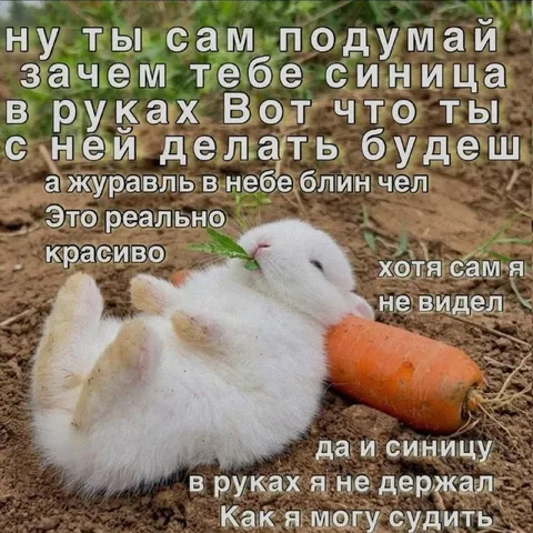 Синица в руках и журавль в небе
