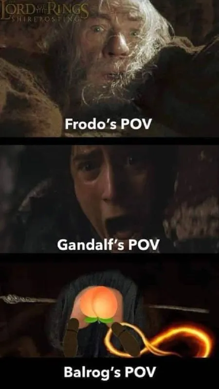 Lord of the Rings POV Meme