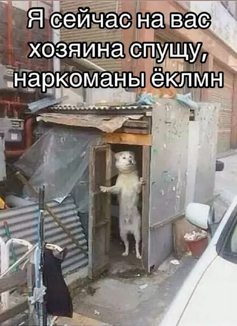 Хозяина спущу на вас