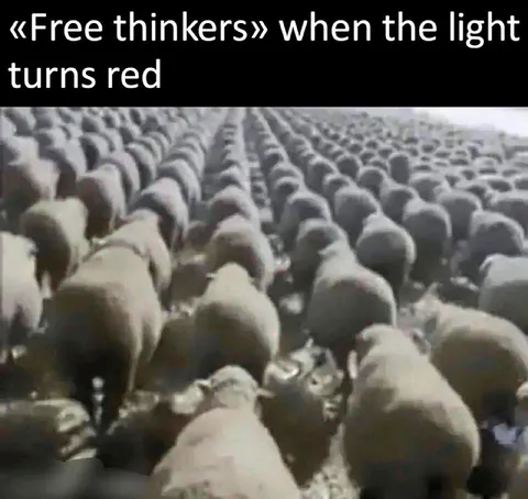 Free Thinkers at the Red Light