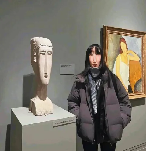 Please Do Not Touch Museum Meme