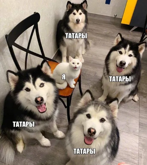 Я среди татар