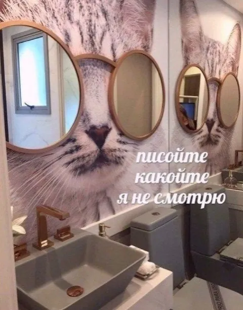 Кот в зеркалах не смотрит