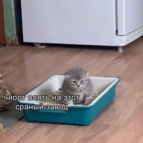 Кот снова на заводе