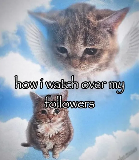 How I Watch Over My Followers