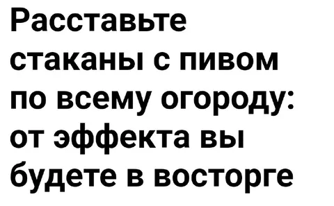 Расставьте стаканы с пивом