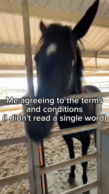 Horse Agrees Without Reading