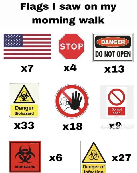 Flags I Saw on My Morning Walk