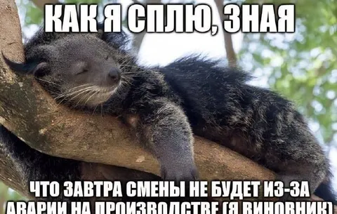 Как я сплю после аварии