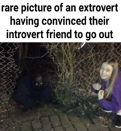 Introvert Friend Goes Outside