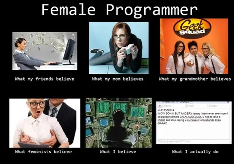 Female Programmer Expectations vs Reality