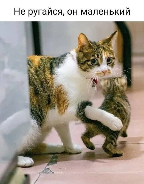 Не ругайся, он маленький