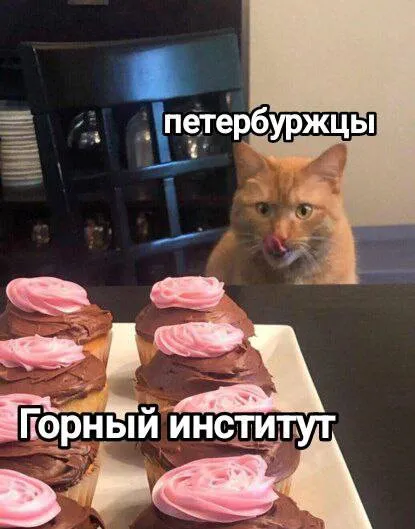 Петербуржцы увидели Горный институт