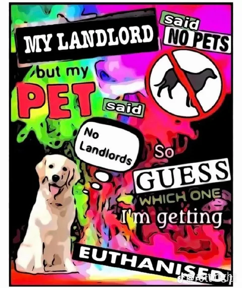 My Pet Says No Landlords