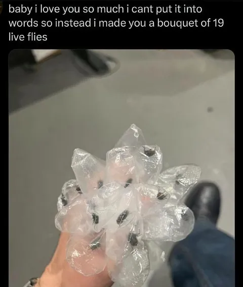 Bouquet of 19 Live Flies