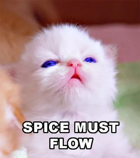 Spice Must Flow Cat