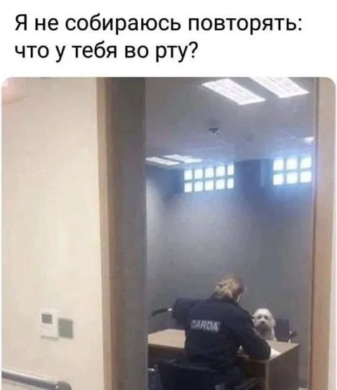 Что у тебя во рту