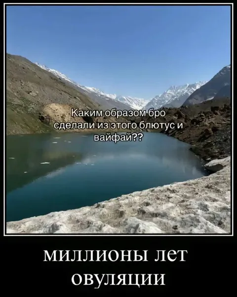Миллионы лет овуляции