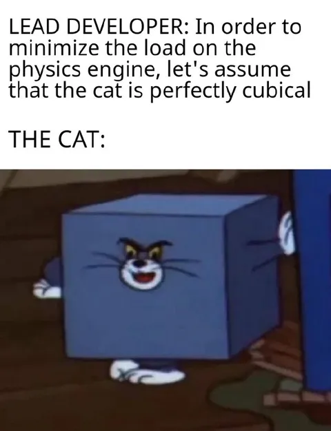 Lead Developer Cubical Cat