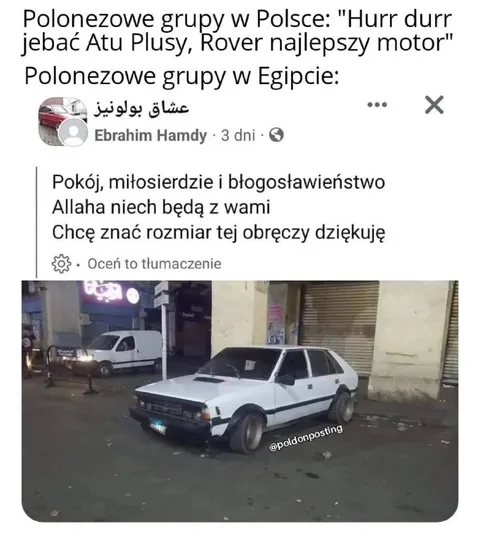 Polonezowe grupy w Egipcie