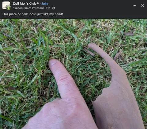 Bark Looks Like My Hand