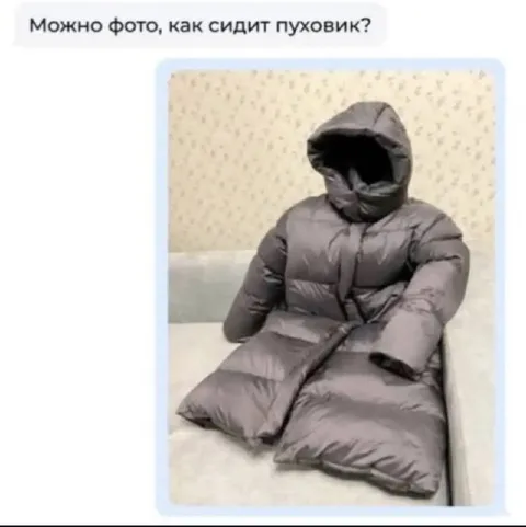 Пуховик сидит на диване