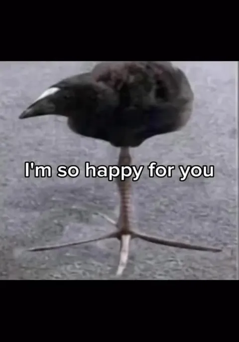 Bird Gets a New Leg