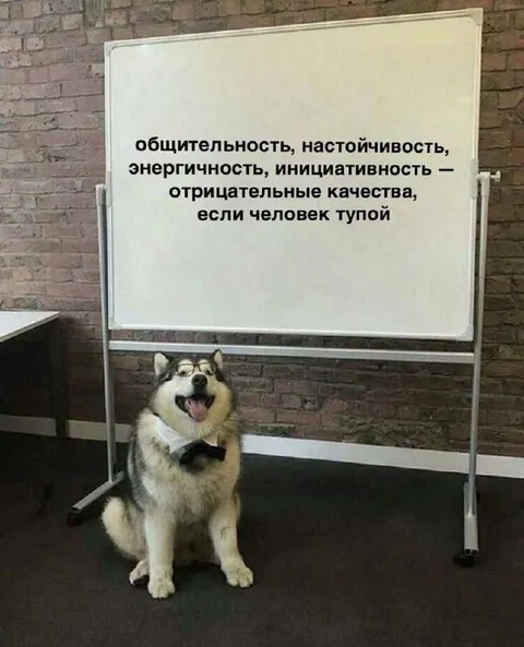 Пёсик и отрицательные качества