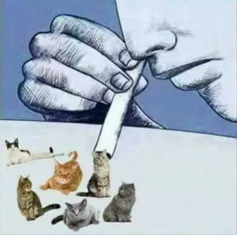 Карандаш рисует котиков