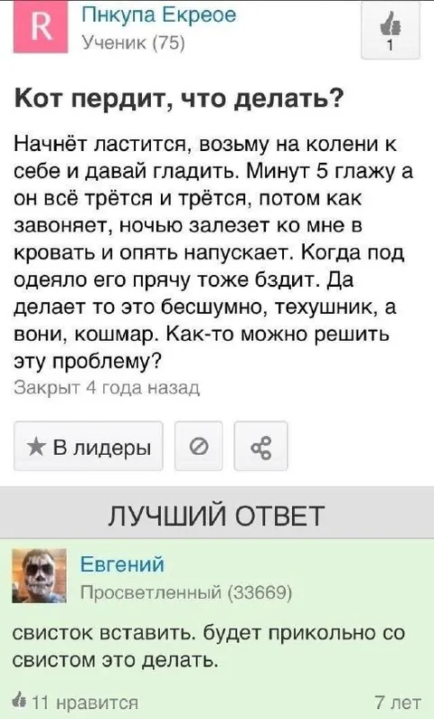 Кот пердит, что делать?