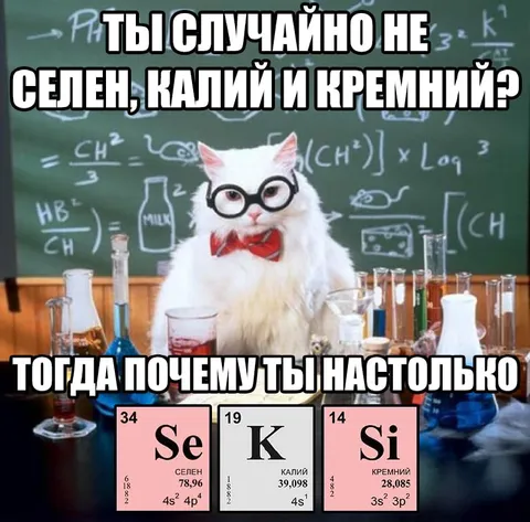 Кот объясняет химическую связь