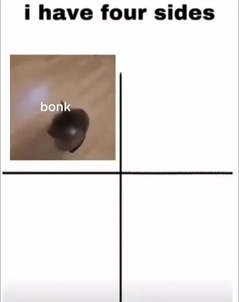 Cat Has Four Sides