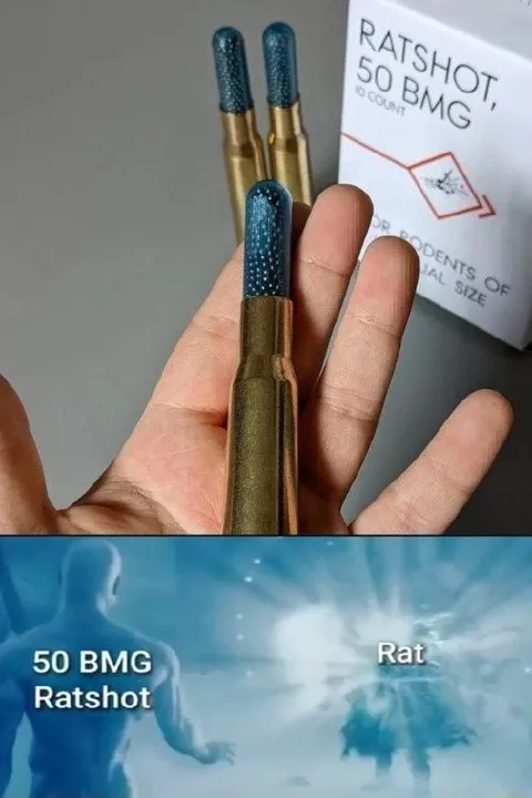50 BMG Ratshot vs Rat