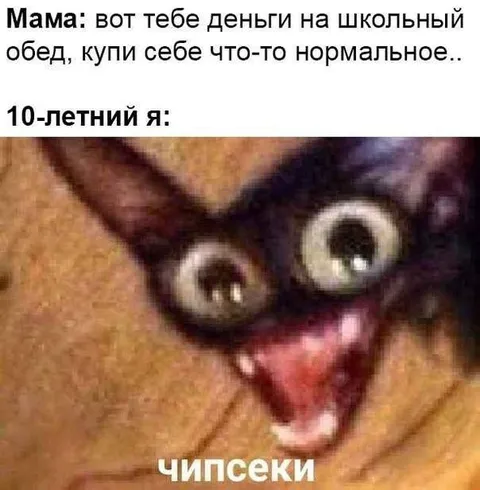 Десятилетний я покупает чипсеки