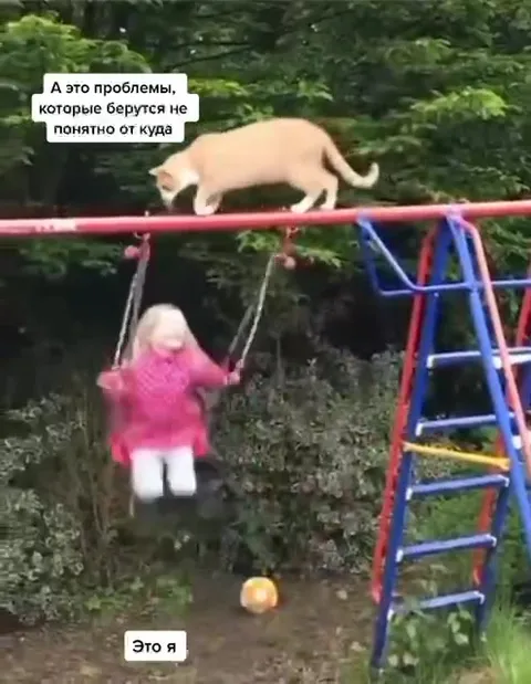 Кот и проблемы на качелях