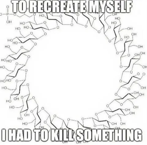 To Recreate Myself I Had to Kill