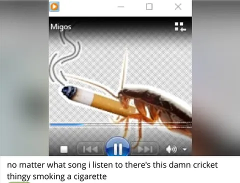 Cricket Smoking to Every Song