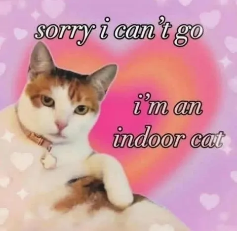 Sorry I Can't Go Indoor Cat