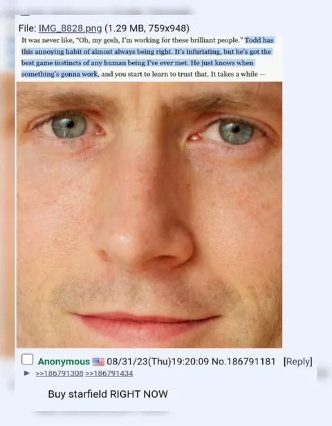 Todd Howard Knows It Will Work