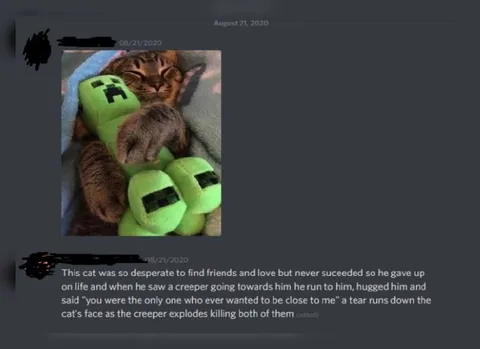 Cat Hugs Creeper