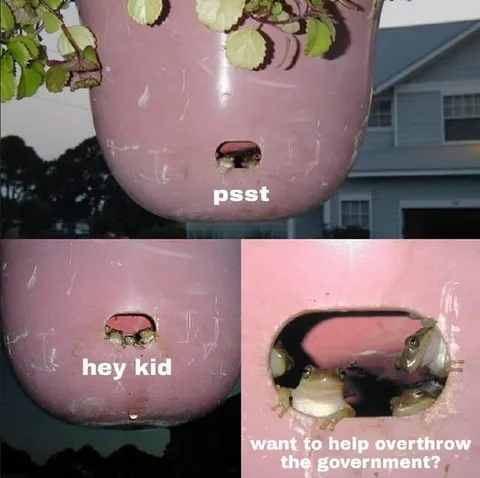 Frogs Overthrow the Government