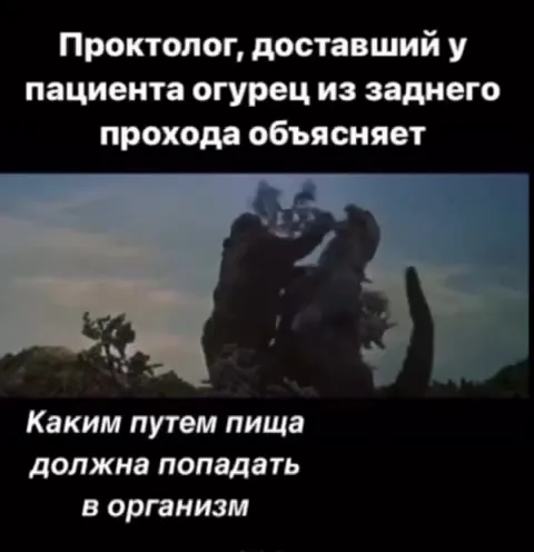 Проктолог объясняет путь пищи